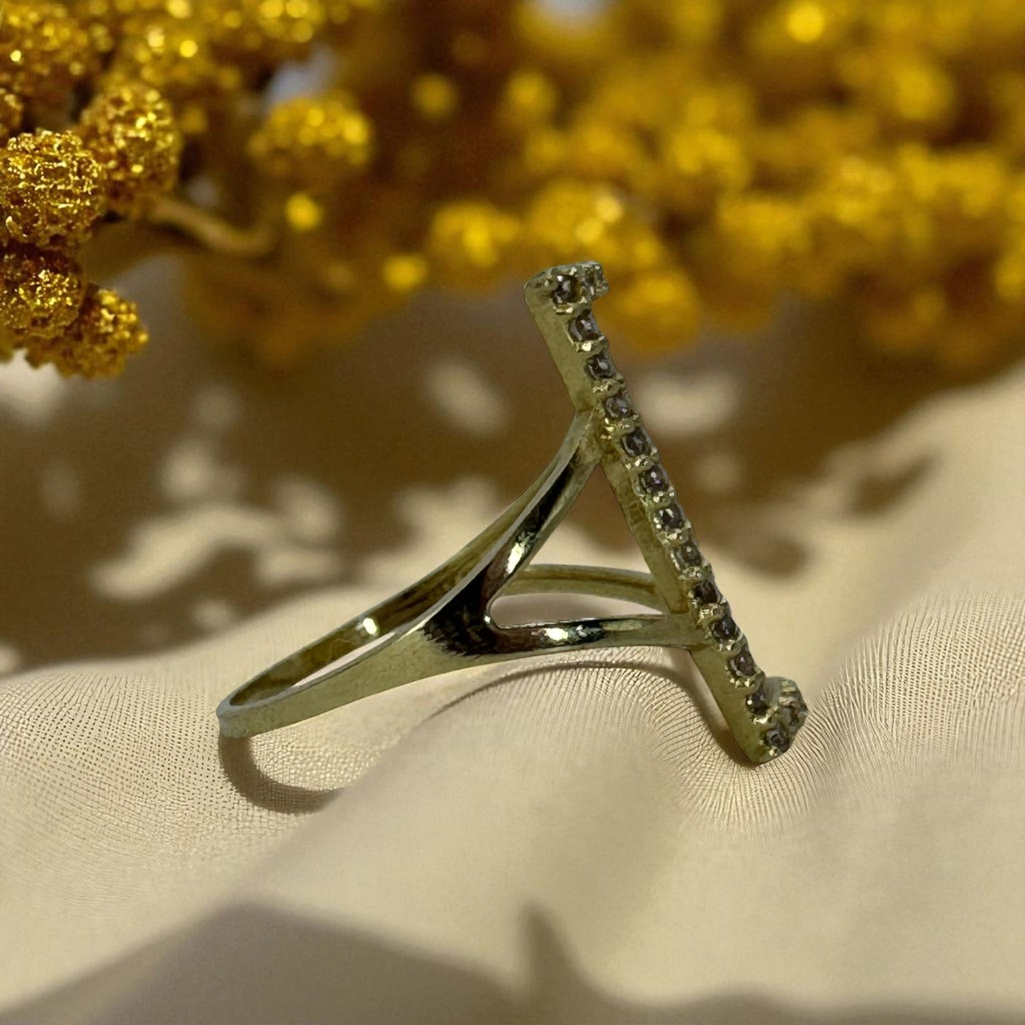 ANILLO CON PLACA RECTANGULAR EN ORO MEXICANO 10 K